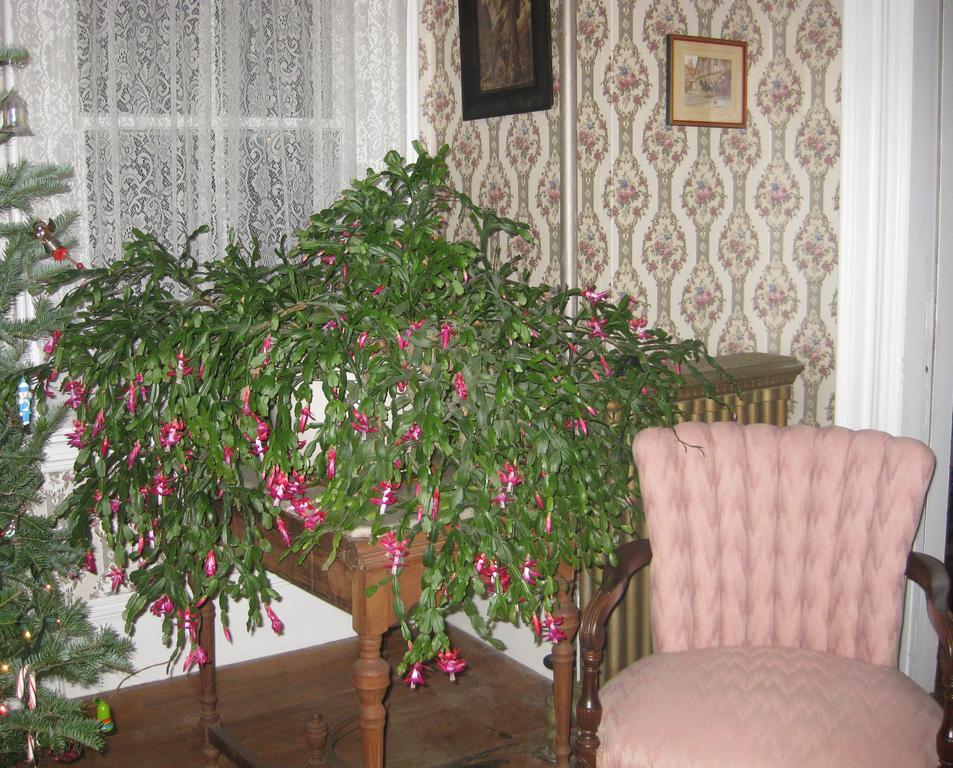 The Bridges Inn At Whitcomb House B&B Swanzey Luaran gambar